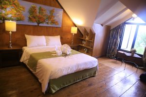 Lakeview Suites Family Attic